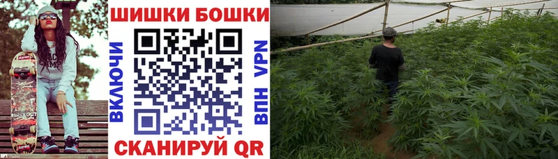 Конопля White Widow  купить наркотики сайты  Никольское 
